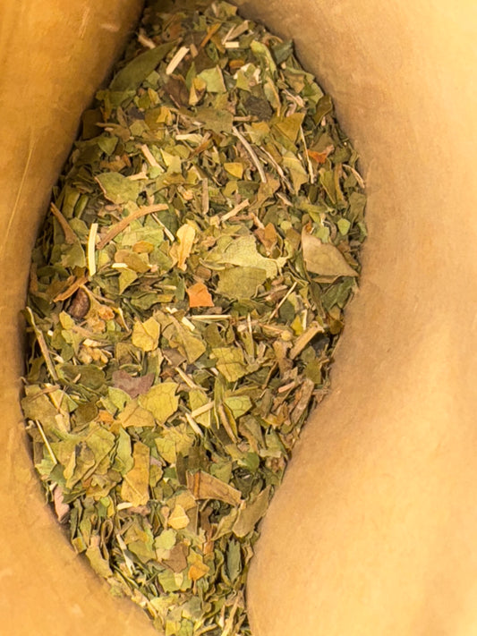 Gymnema Sylvestre